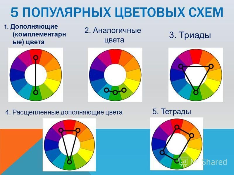 Что такое цветовая схема слайда