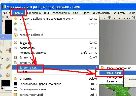 Команда Новый Слой