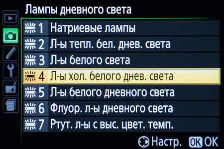 В этом случае применена настройка “Дневной свет”, вполне соответствующая условиям съемки. Кадр выглядит естественно.