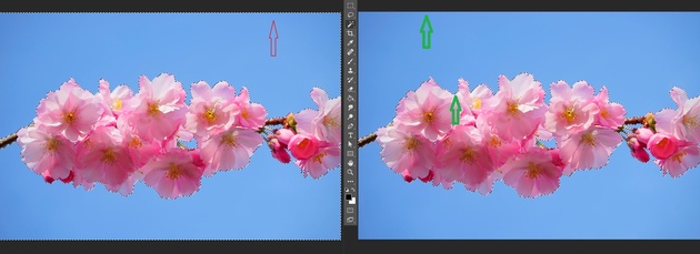 Как обработать фон в Photoshop