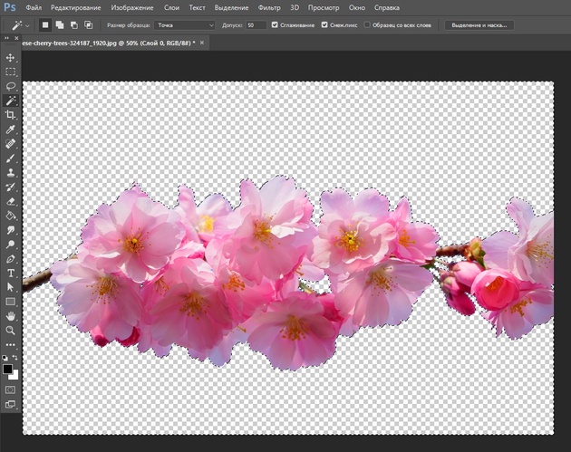 Как обработать фон в Photoshop