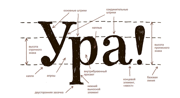 Новичкам подойдут прописи «Буква к букве». Это руководство написала графический дизайнер, иллюстратор и арт-директор журнала Seasons Татьяна Чулюскина. Сначала вы изучите теорию — узнаете виды и историю шрифтов, разберёте строение букв, подберёте материалы и инструменты.