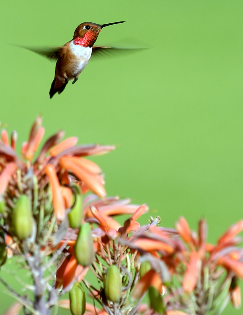 13 Places Take Beautiful Motion Blur Shots