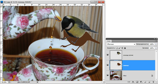 Рис. 5. Результат создания заготовки для тени синицы