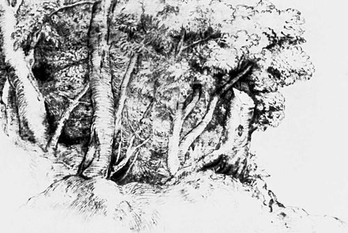 Тициан (Италия). «Группа деревьев». Перо. Ок. 1516—18. Метрополитен-музей. Нью-Йорк.