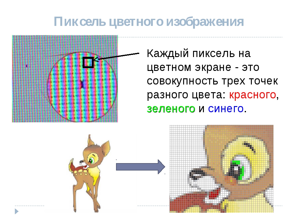 Какую информацию содержит пиксель цифрового растрового изображения