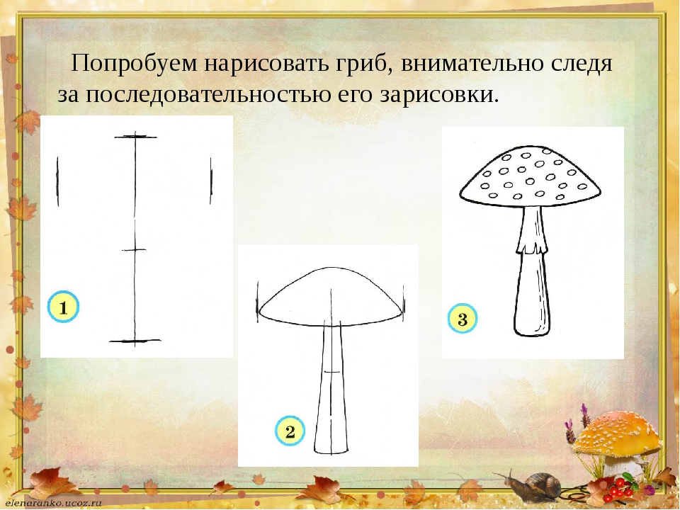 Рисуем мухомор поэтапно презентация 1 класс