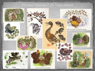 Иллюстрации Е.И.Чарушина 