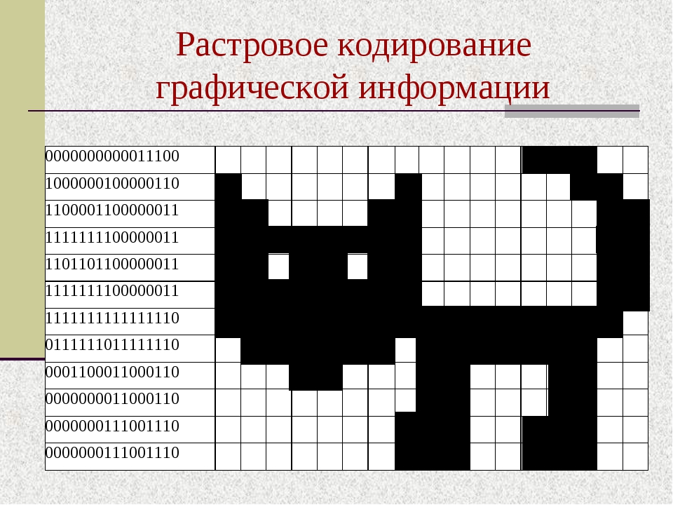 Растровый рисунок это в информатике