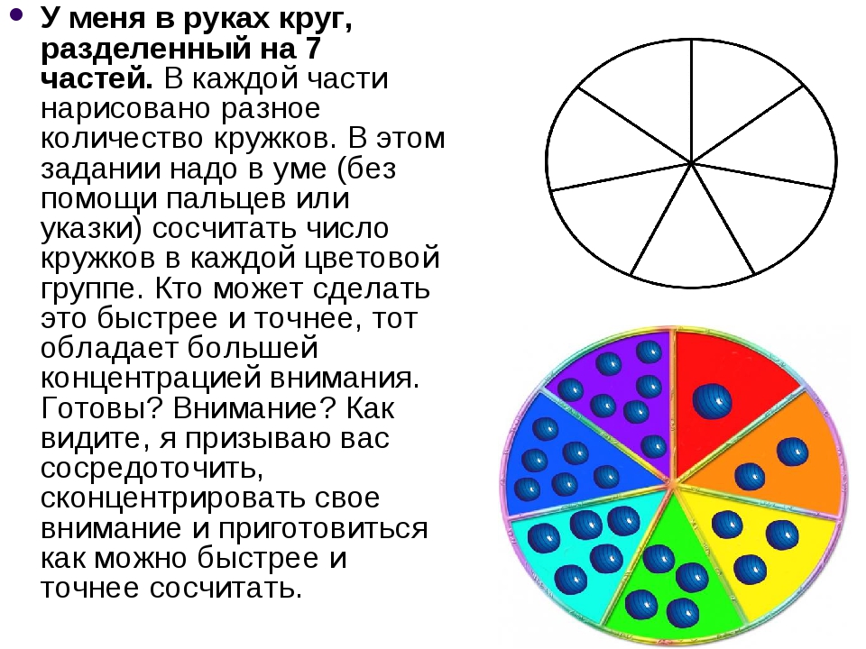 На сколько частей разделен