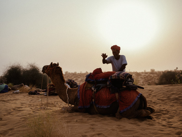 A portrait of a man standing by a camel in the desert, with a beautiful lens flare behind him