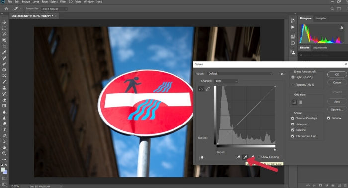 A screenshot of setting the grey point in Photoshop