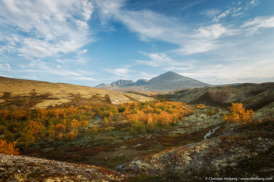 Как сделать красивые осенние фотографии