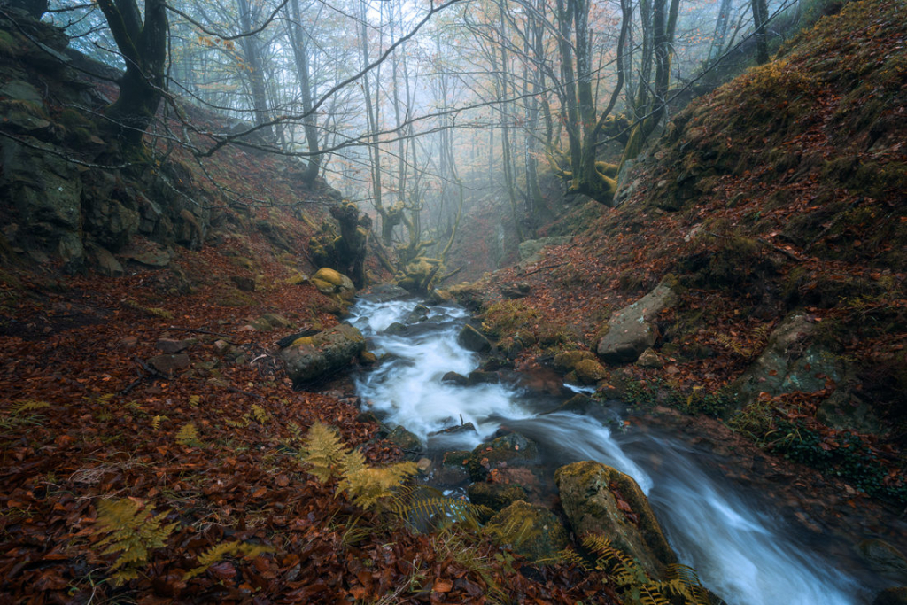 Как сделать красивые осенние фотографии