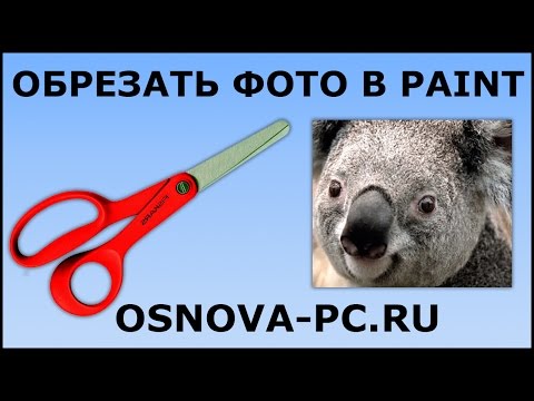 Как обрезать фото или картинку в Paint?