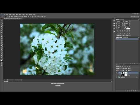 Creating Selective Contrast in Photoshop