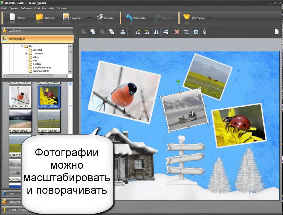 Программа для создания коллажей из фотографий бесплатно на русском