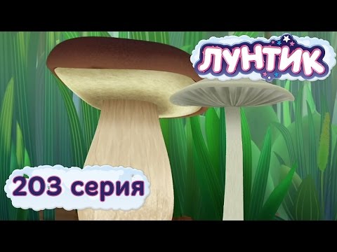 Лунтик и его друзья - 203 серия. Белый гриб