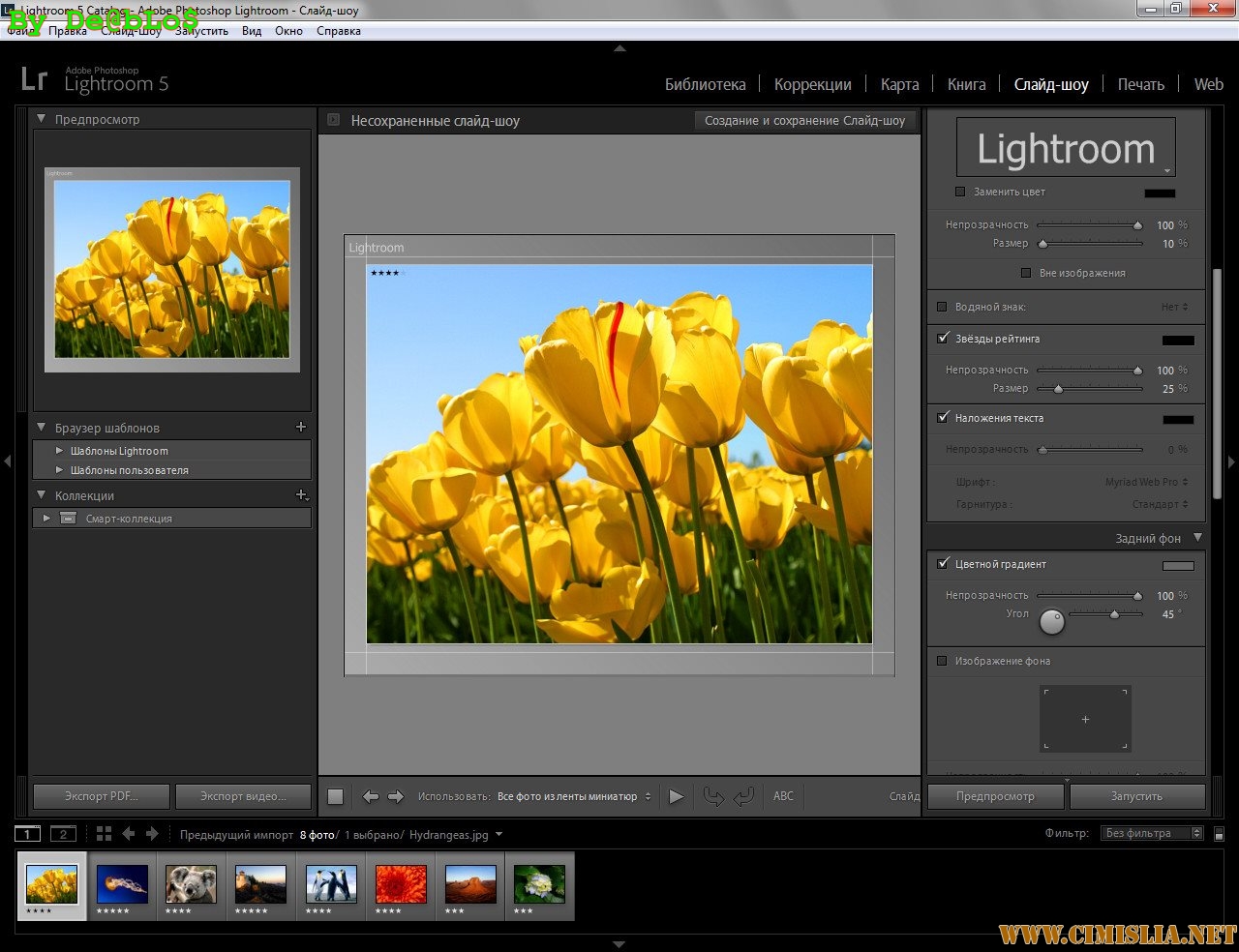 Adobe photoshop lightroom программы для организации изображений