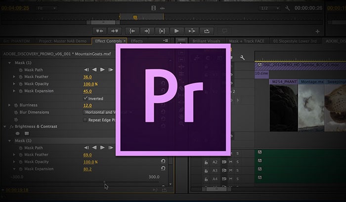 video overlay effects in premiere pro
