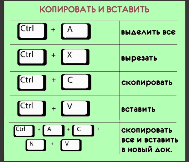 Выделенную область можно копировать перетаскиванием какую клавишу клавиатуры следует держать нажатой