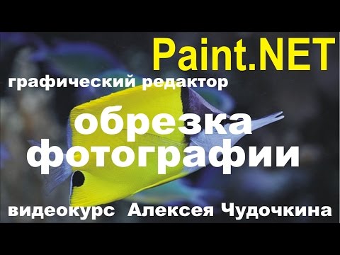 Как обрезать  фото в Paint.NET