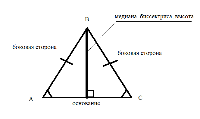 Свойства медианы в равностороннем. Равносторонний треугольник Медиана биссектриса и высота. Высота и Медиана в равностороннем треугольнике. Медины в растороннкм треугольник. В равностороннем треугольнике высота является медианой.