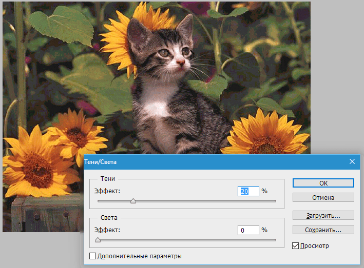 Цветокоррекция в Photoshop