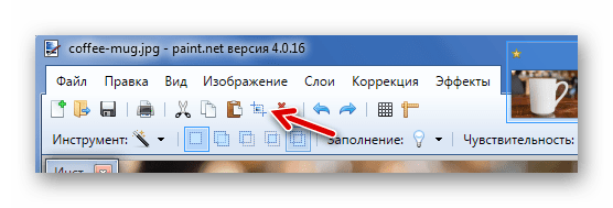 Обрезка по выделению в Paint.NET