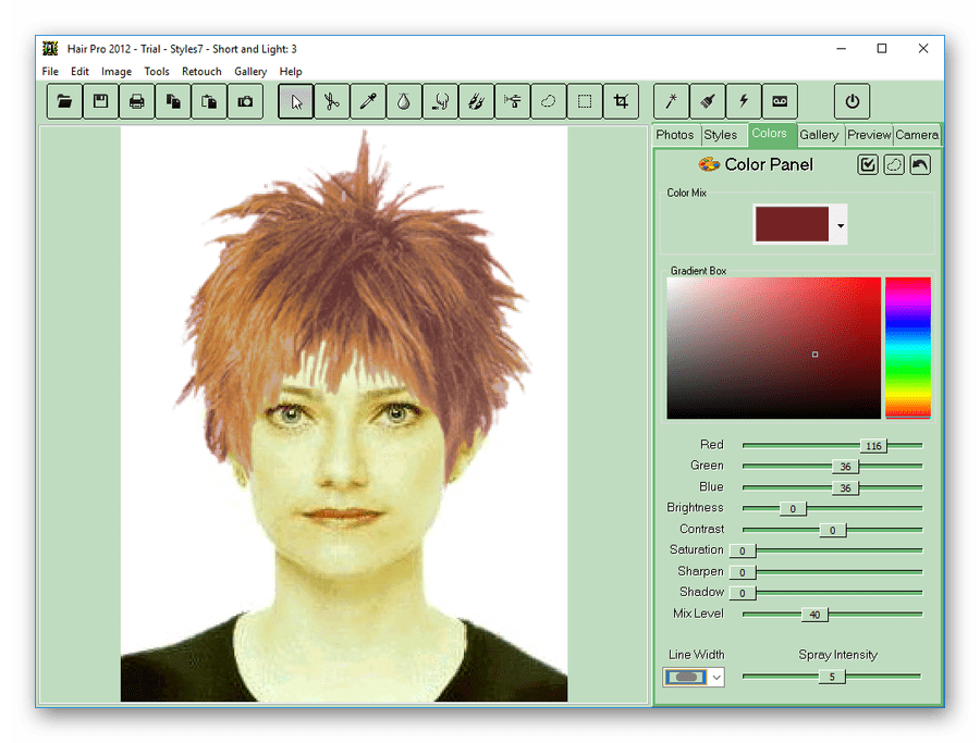 Окно программы Hair Pro