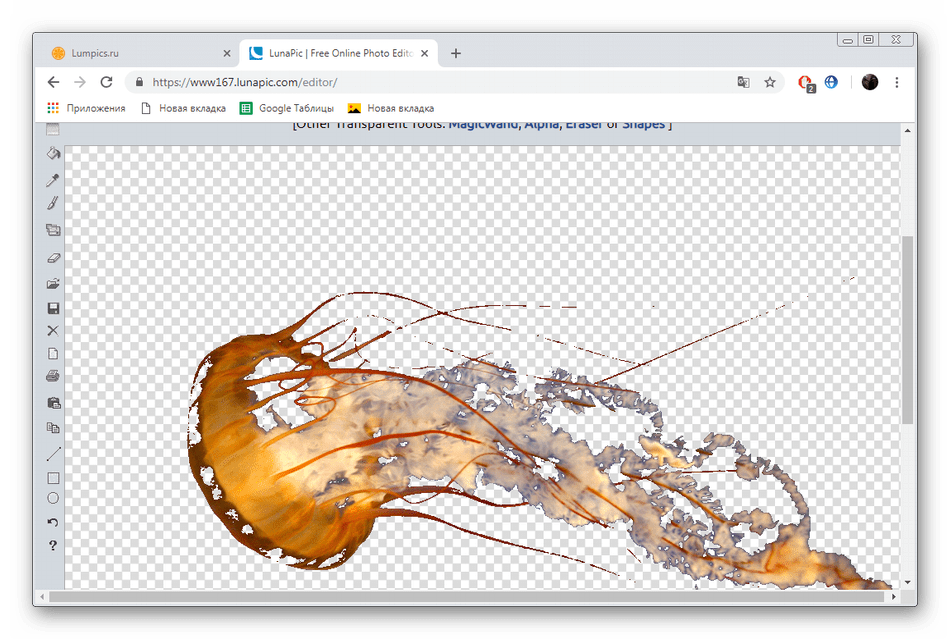 Готовый результат удаления фона на сайте LunaPic
