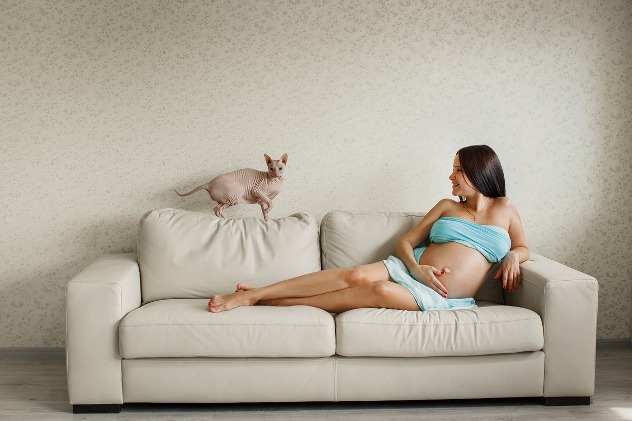 идеи фотосессии для беременных с домашними животными