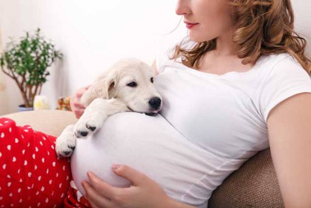 идеи фотосессии для беременных с животными