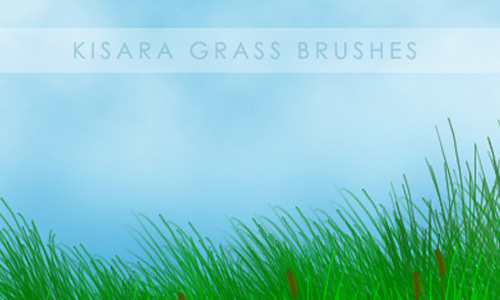 Very Useful Grass PSD Brushes