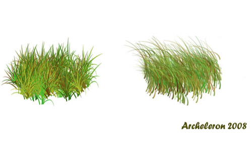 Something to Try Out Grass Photoshop Brushes
