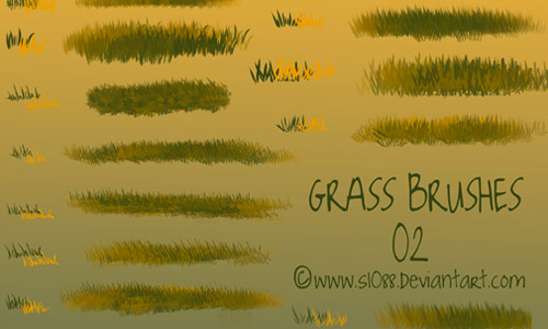 PS brushes