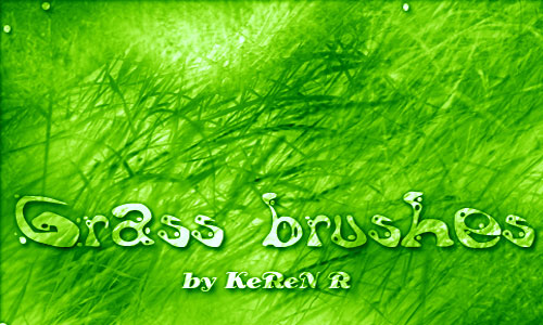 Timely Set of Grass Photoshop Brushes