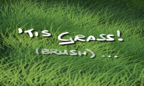 Good Choice Set of Grass Photoshop Brushes