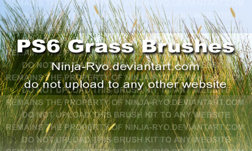 Soothing Set of Grass Photoshop Brushes