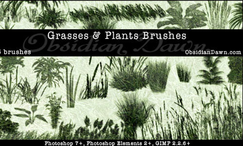 Inviting Set of Grass Photoshop Brushes