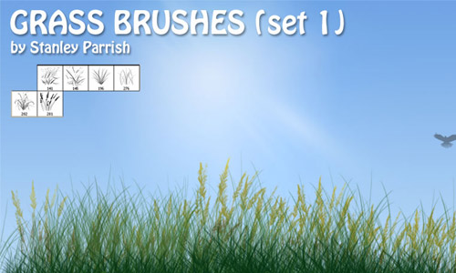 Simply Nice Set of Grass Photoshop Brushes