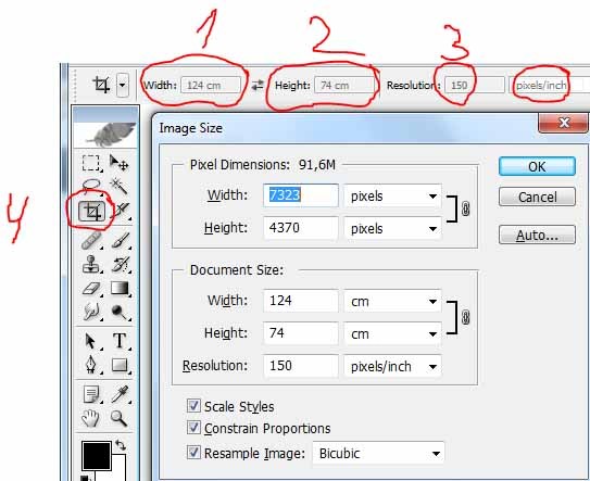 Какой размер у pdf страницы в пикселях