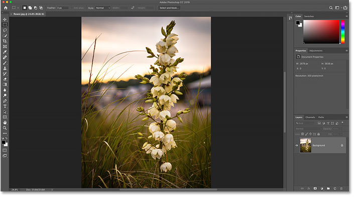 The image opens in Photoshop. Photo credit: Steve Patterson