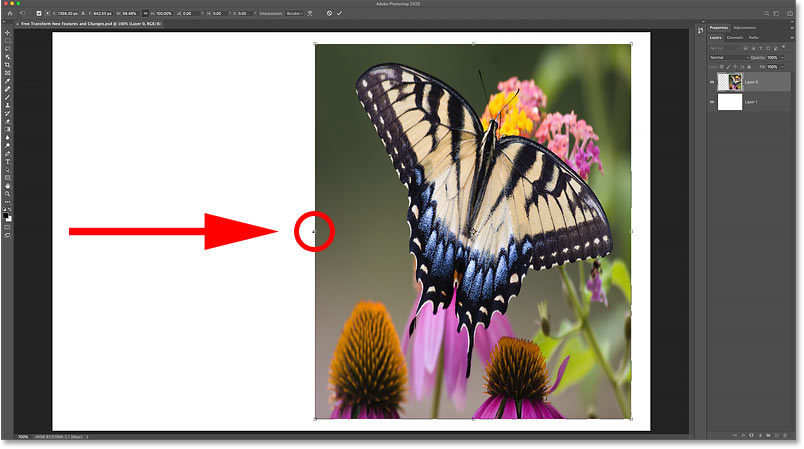 How to scale an image non-proportionally with Free Transform in Photoshop