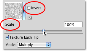 The Invert and Scale options in the Texture dynamics section of the Brushes panel in Photoshop. 