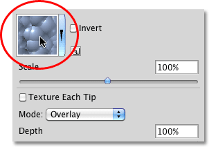 The pattern preview thumbnail in the Texture section of the Brushes panel in Photoshop. 