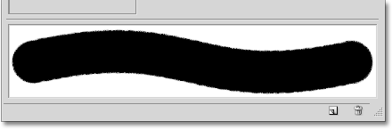 The preview area in the Brushes panel in Photoshop. 