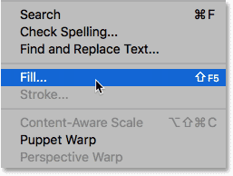 Selecting the Fill command from the Edit menu. 