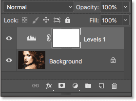 The Layers panel showing the Levels adjustment layer above the Background layer. 