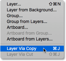 Selecting the New Layer Via Copy command from under the Layer menu. 